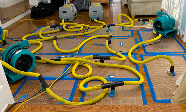 Professional Burst Pipe Water Damage technician working in Skull Valley, AZ